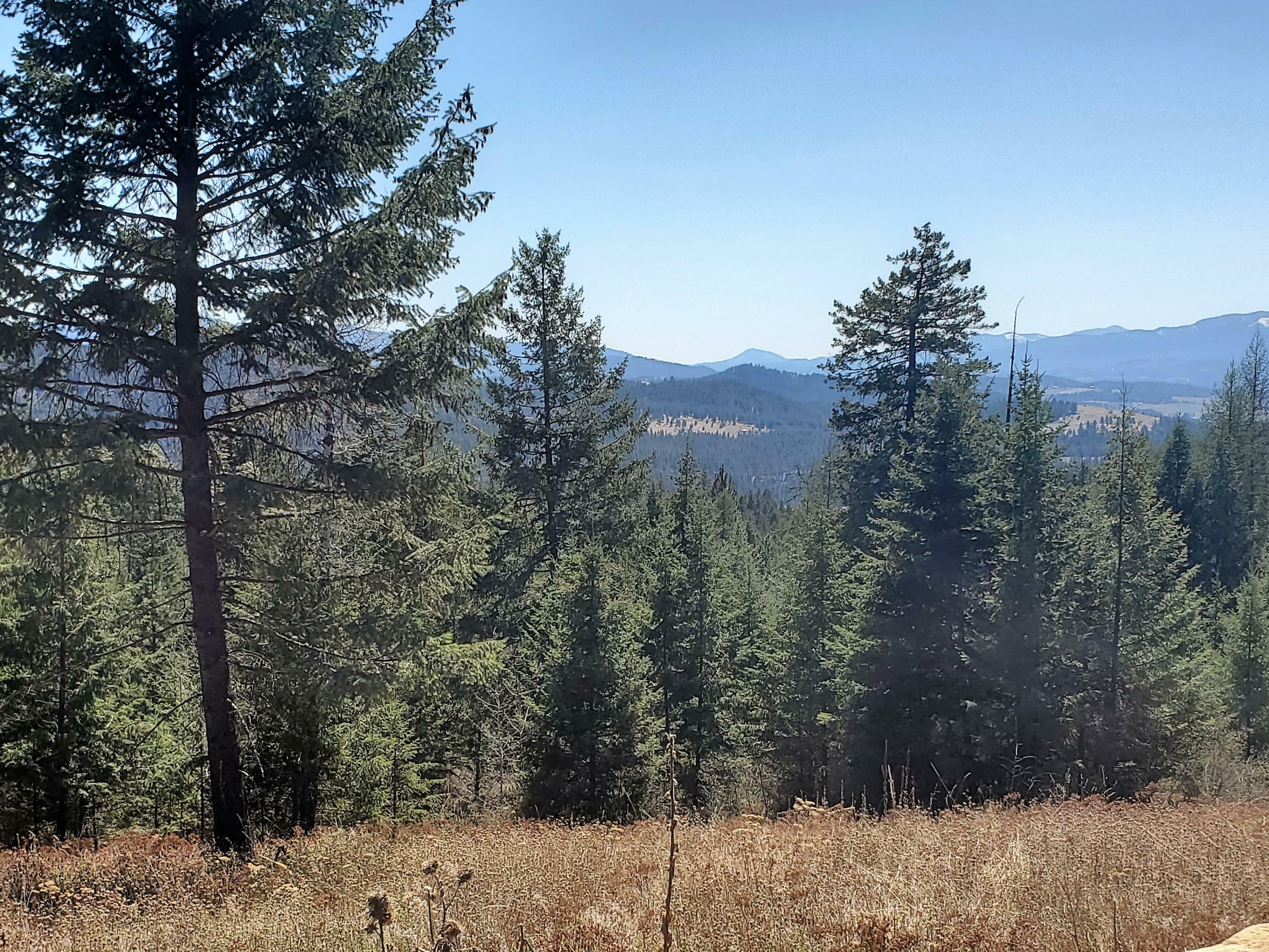 Property Photo:  745 Dry Gulch Rd  WA 99114 