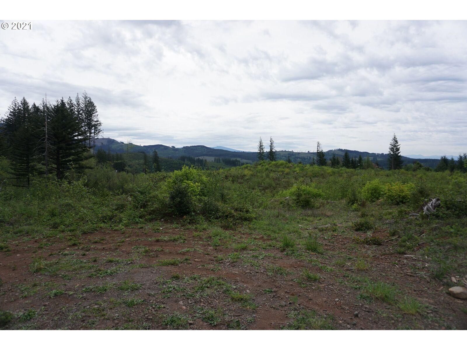 Property Photo:  0 NE 94th St  WA 98607 