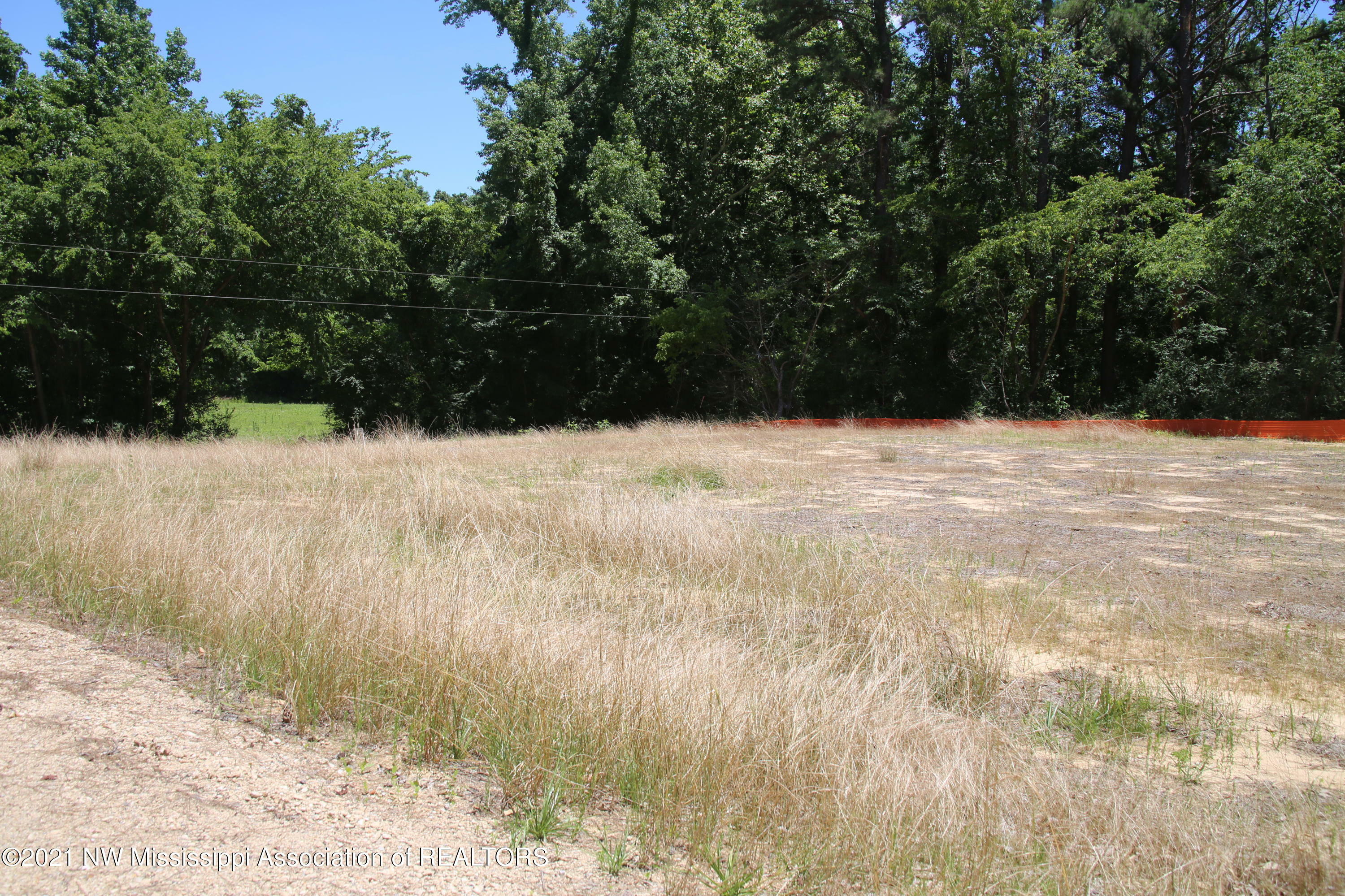 Property Photo: 14909 Denman MS 38611