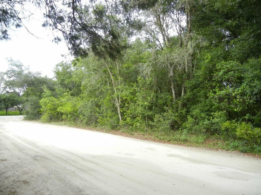 Property Photo:  Kalamazoo Drive  FL 32736 