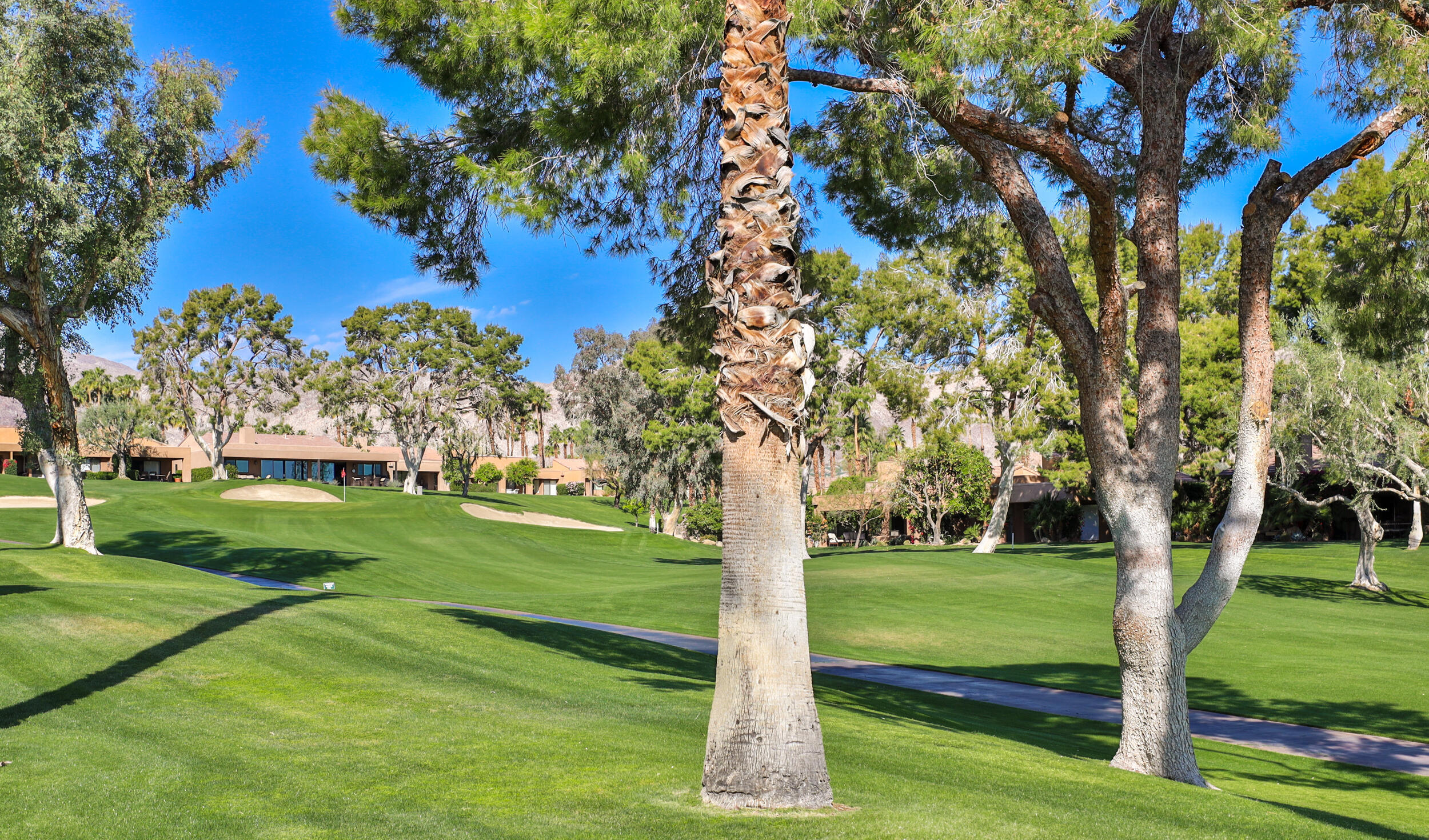 Property Photo:  73450 Dalea Lane  CA 92260 
