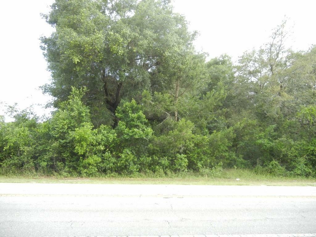 Property Photo:  County Road 44A  FL 32736 