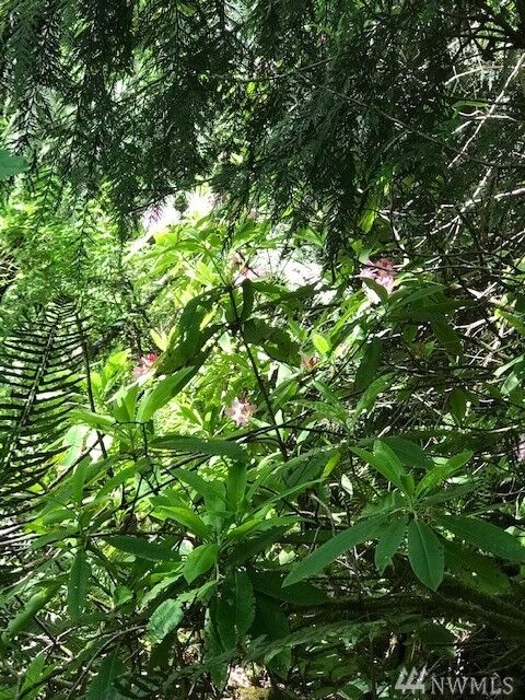 Property Photo:  0 Vetter Rd NE Lot A  WA 98370 