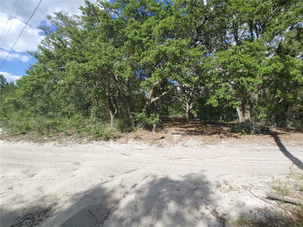 Property Photo:  00 Elliott Lane  FL 34667 