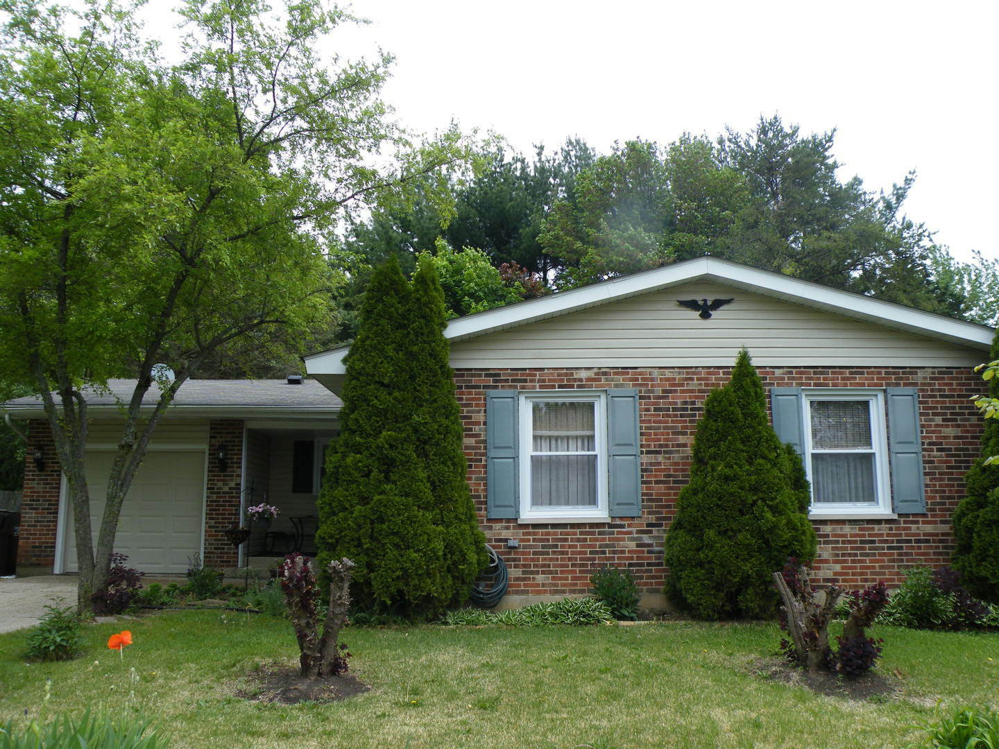 Property Photo:  919 Darlington Lane  IL 60014 