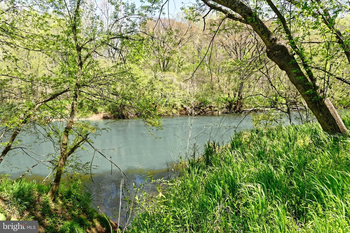 Property Photo:  Lot 3 Pine River Road  VA 22508 