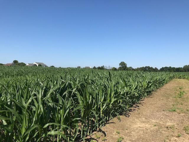 0 Lancaster Road  Hebron OH 43025 photo