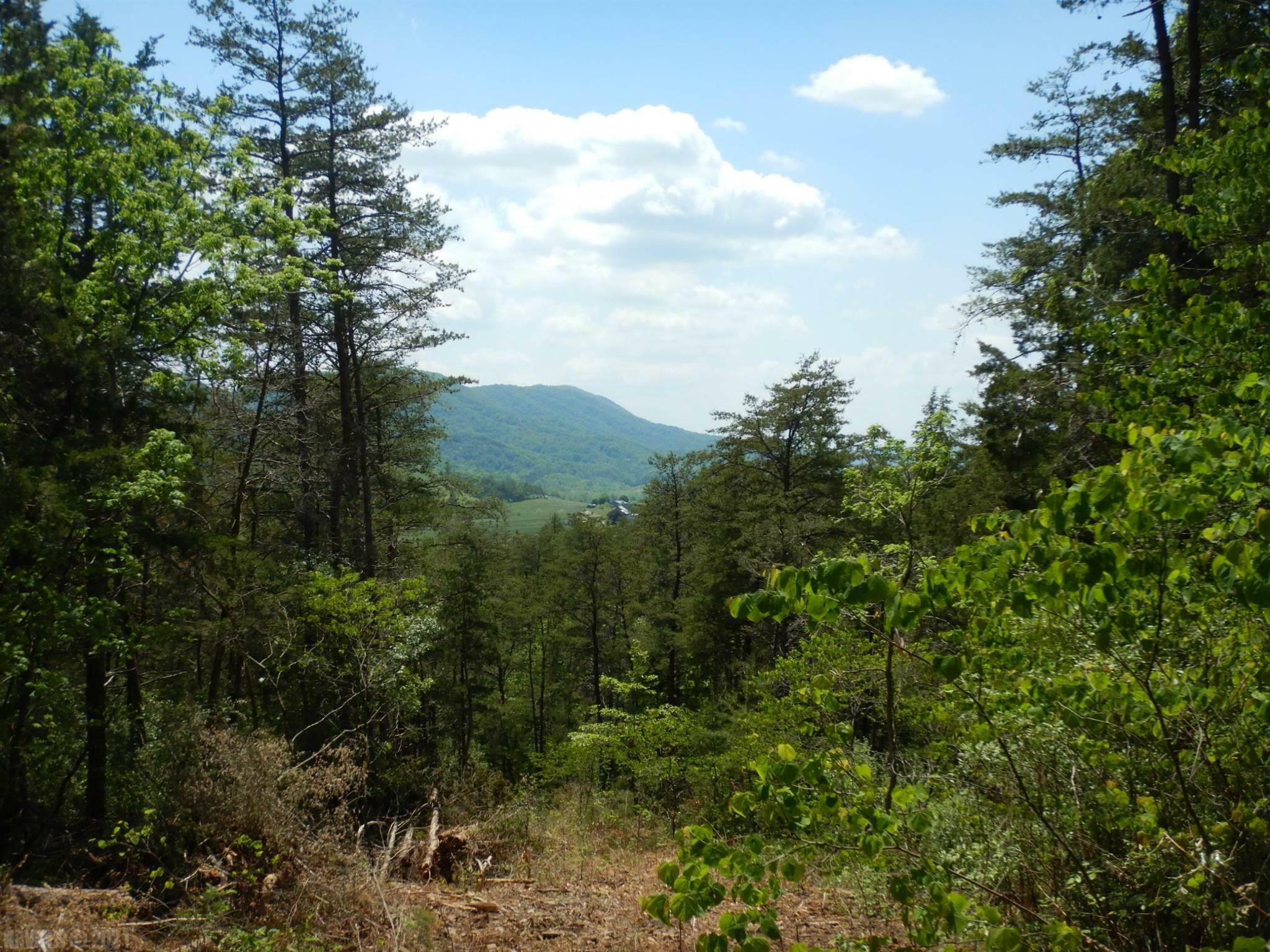 Property Photo:  4505 Natures Waye Road  VA 24060 