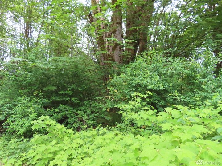 Property Photo:  12899 Game Trail Wy SE  WA 98367 