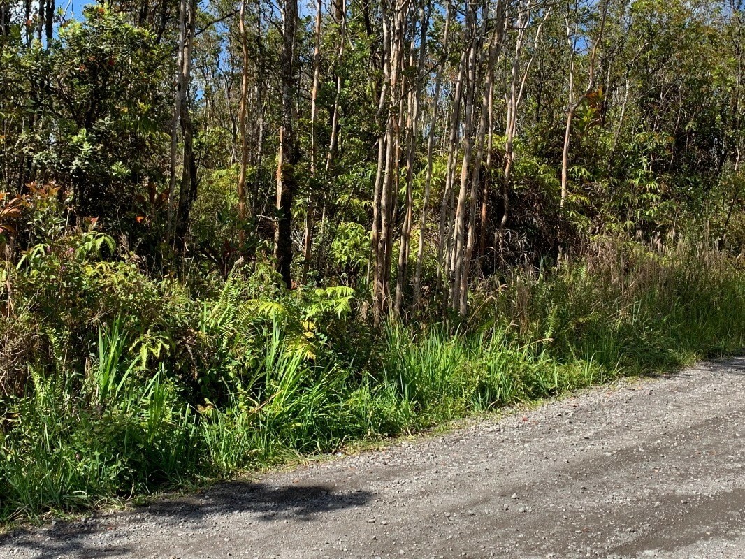 Makoa Rd  Volcano HI 96785 photo