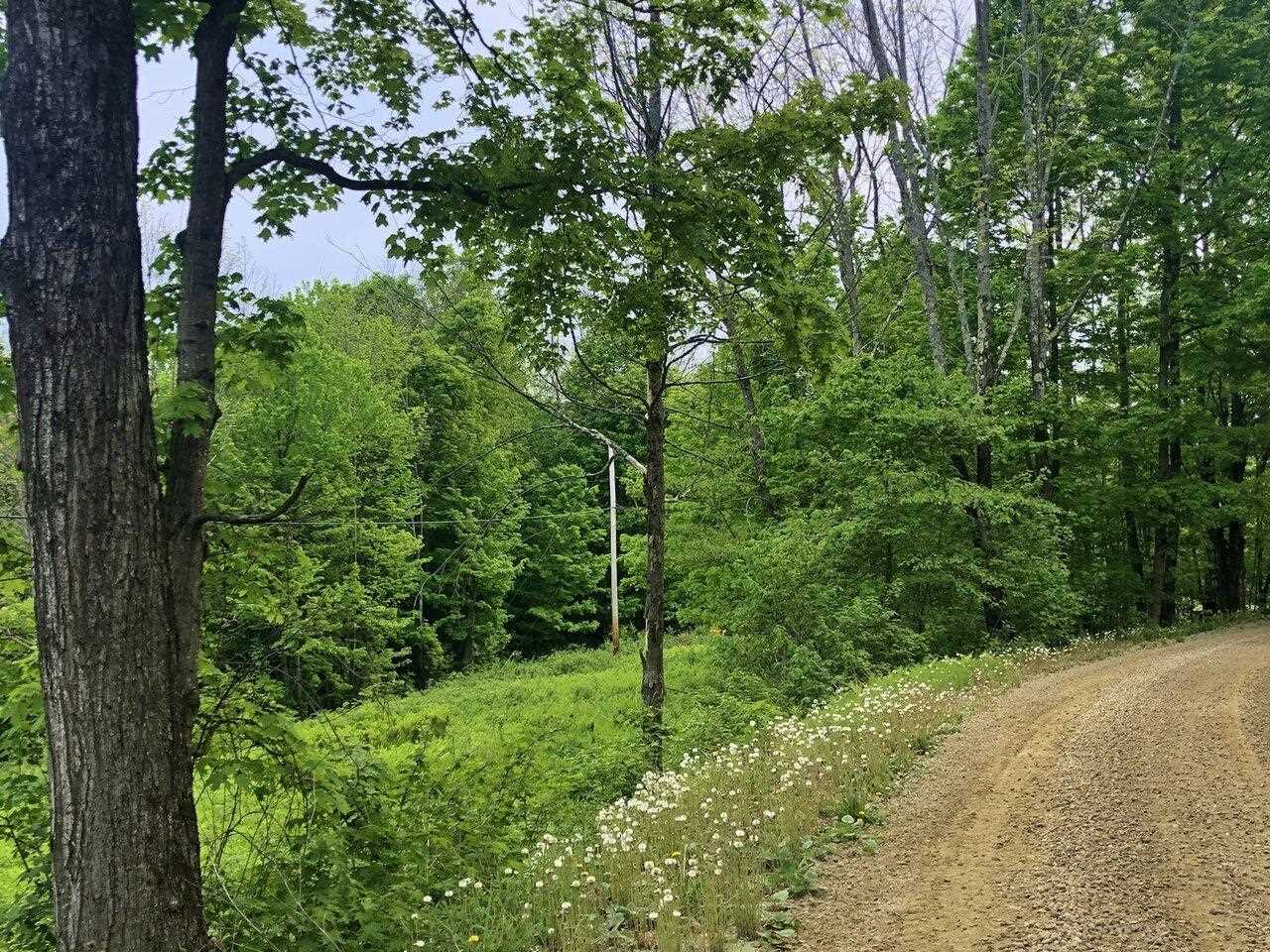 Property Photo:  Lot 3 Mason Hill North 3  VT 05487 