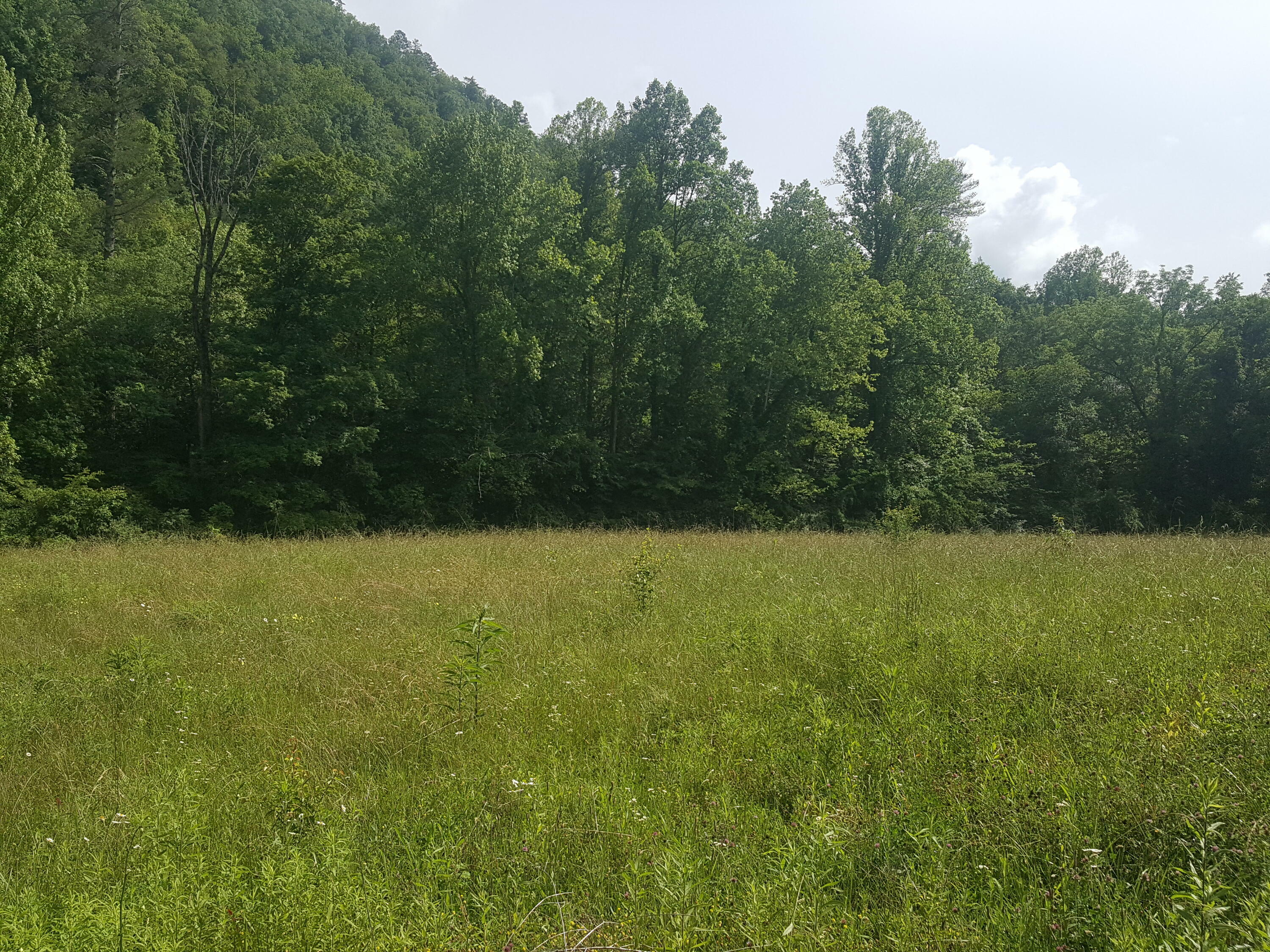 Property Photo: E Millers Cove Rd TN 37886