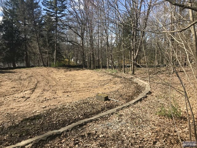Property Photo: 316 East Saddle River Road NJ 07458