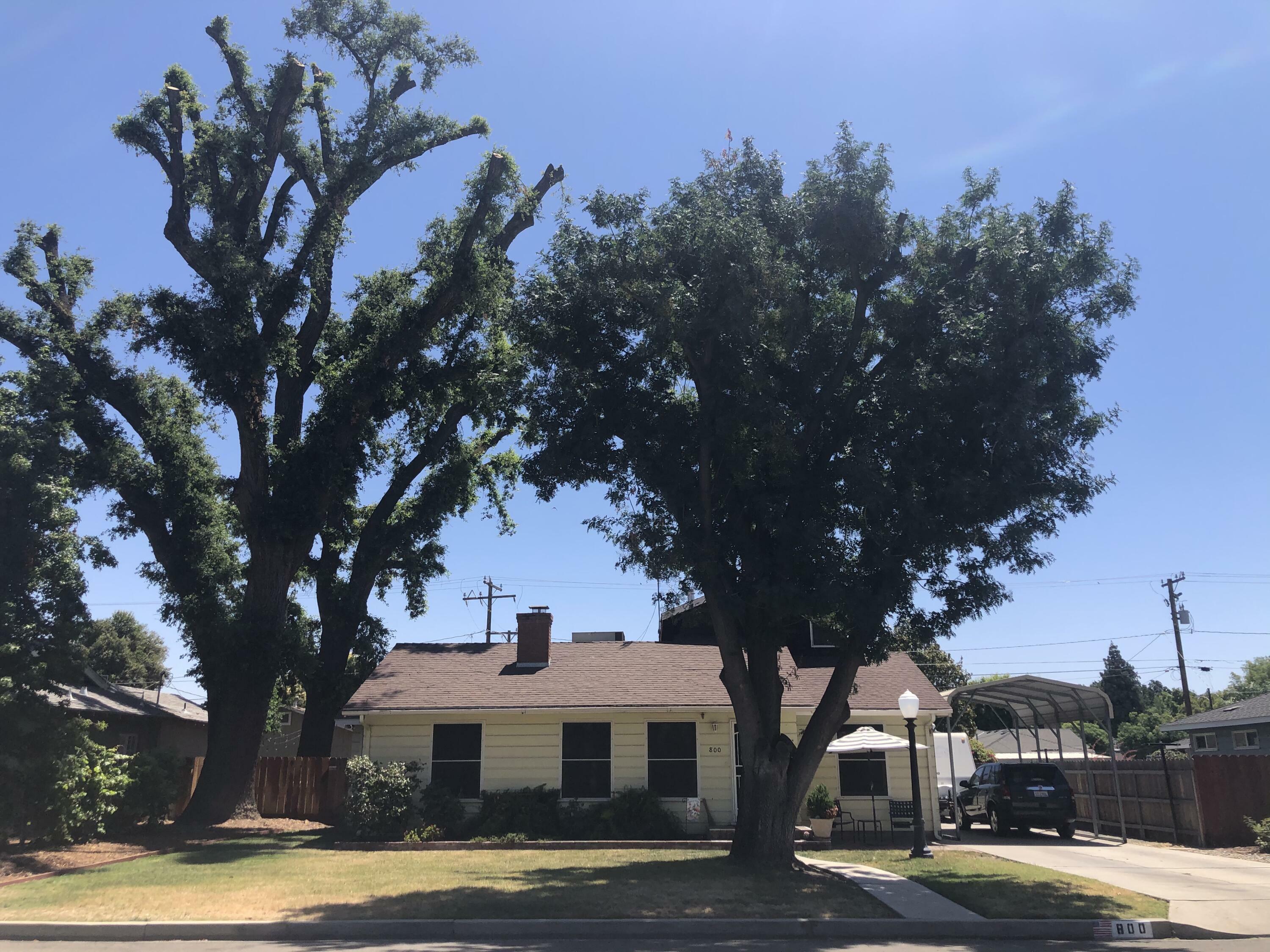 Property Photo:  800 S Oak Park Street  CA 93277 