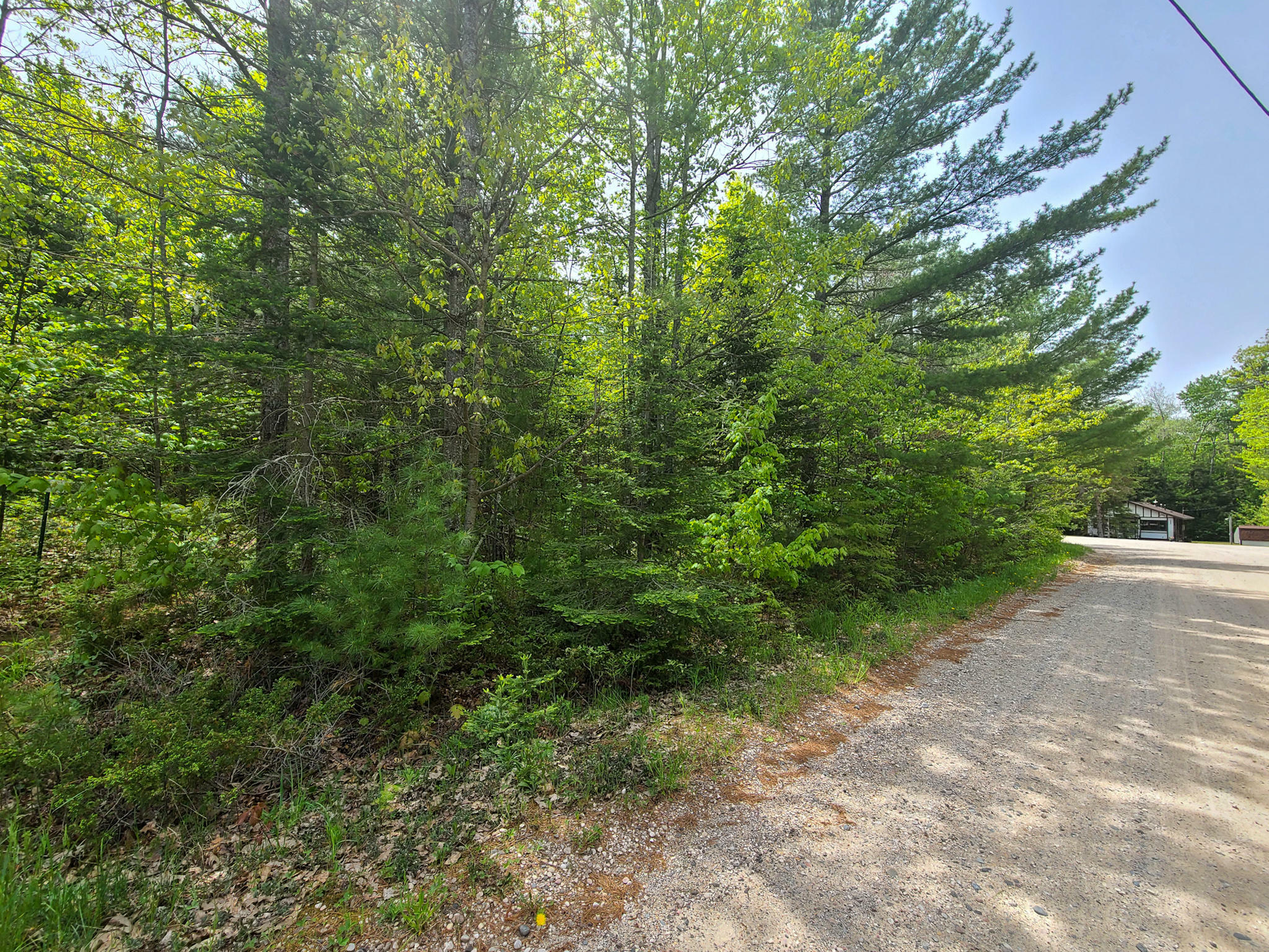 Property Photo:  8120 Lakewood Drive Lot #162  MI 49721 