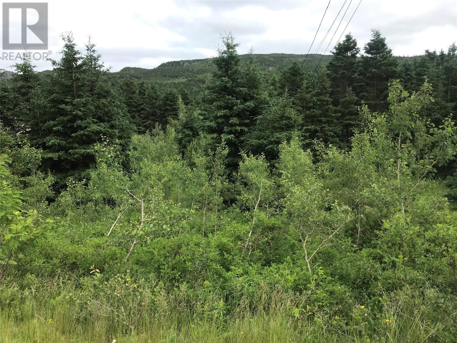 Property Photo:  0 Snows Lane Road  NL A0A 3C0 