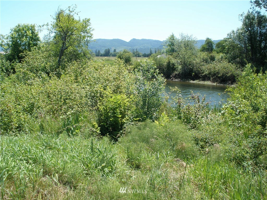 Property Photo:  0 Lot 2 E Little Island Road  WA 98612 