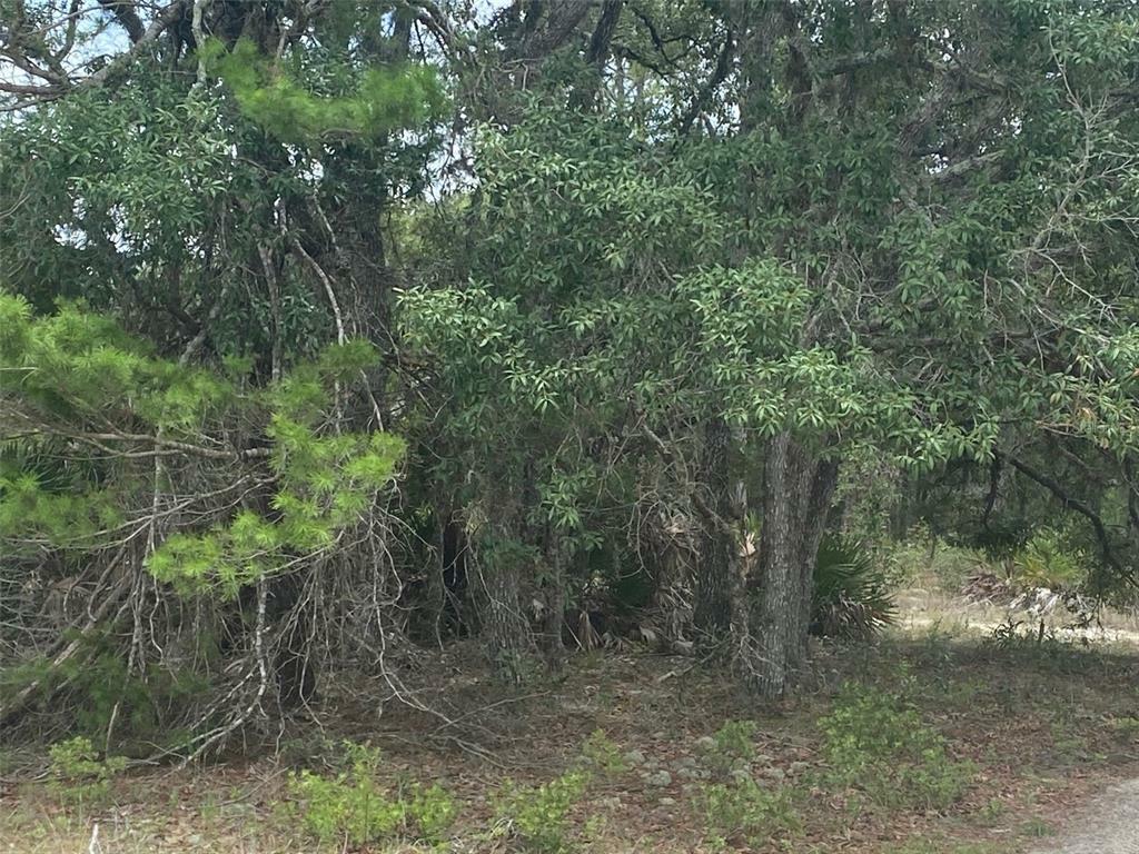 Property Photo:  00 W Peking Court  FL 34433 