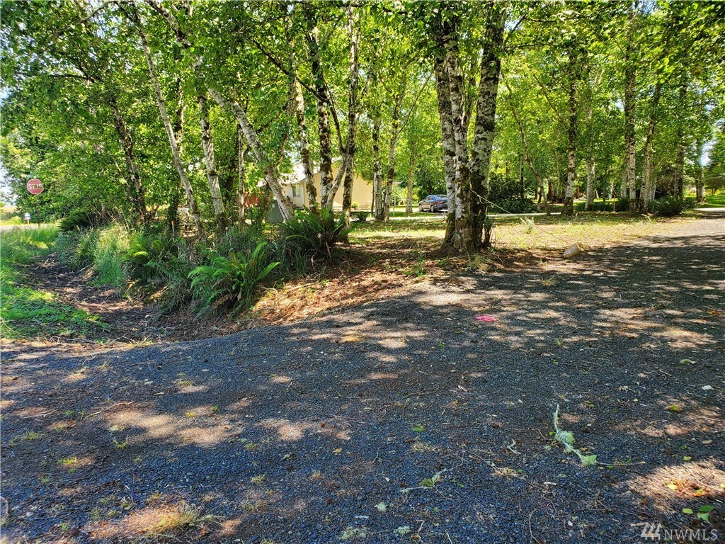 Property Photo:  441 Duck Lake Dr NE  WA 98569 