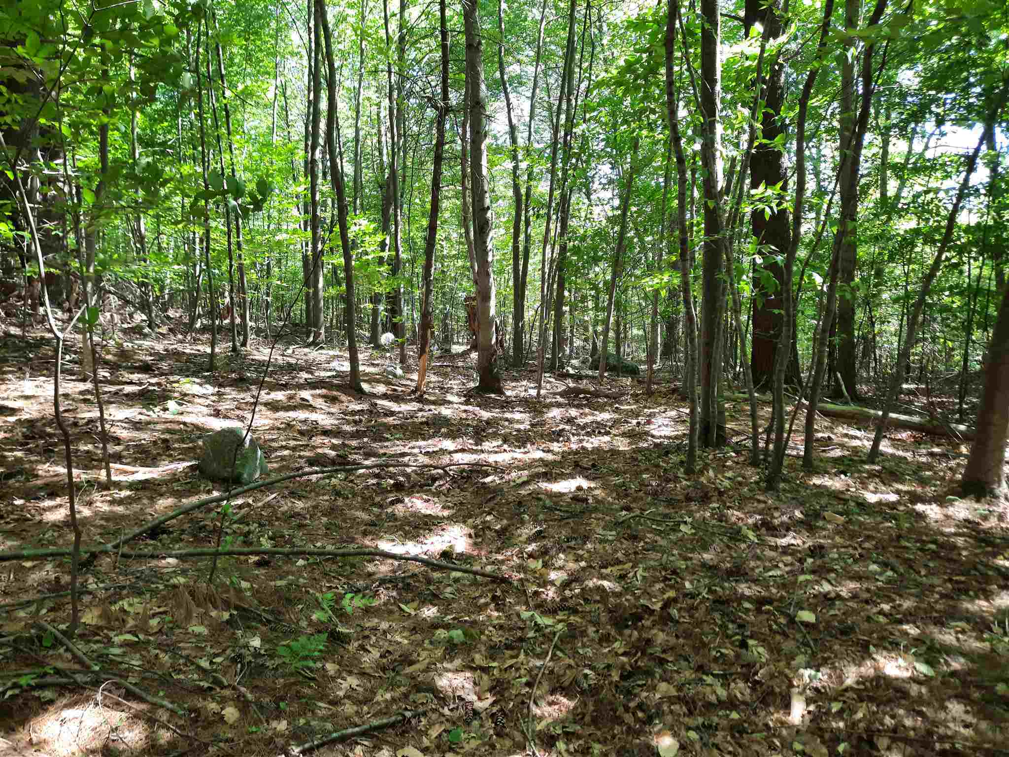 Property Photo:  Lot 20 Orchard Hill Road  NH 03825 