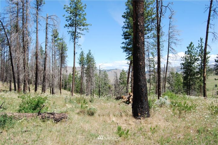 Property Photo: 28 Knox Rd WA 98849