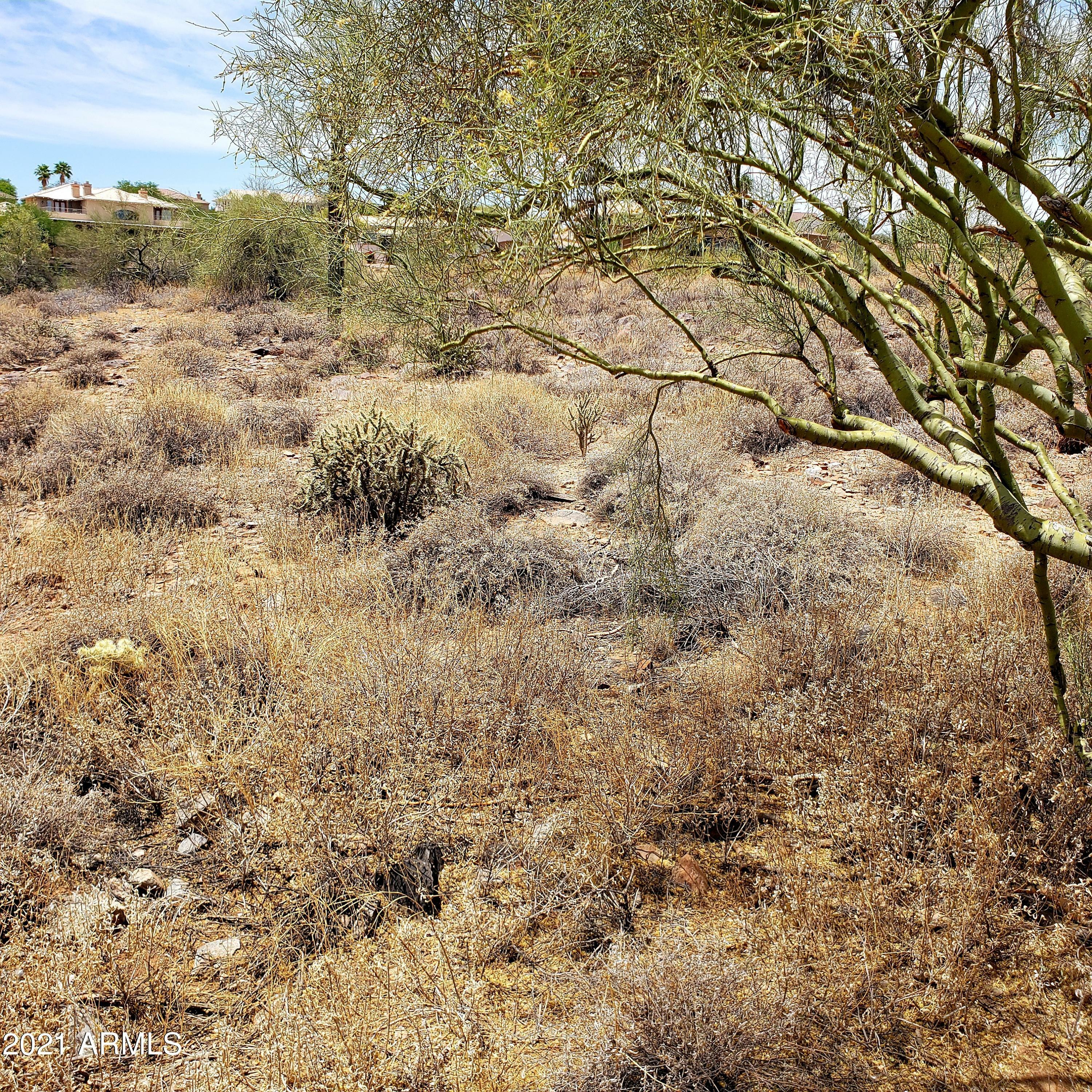 Property Photo:  15638 E Tacony Drive  AZ 85268 