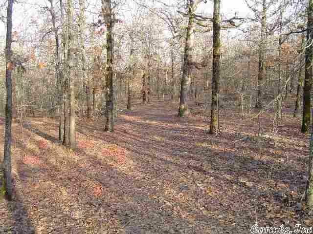 Property Photo:  Lot 40 Mystic Lane  AR 72032 