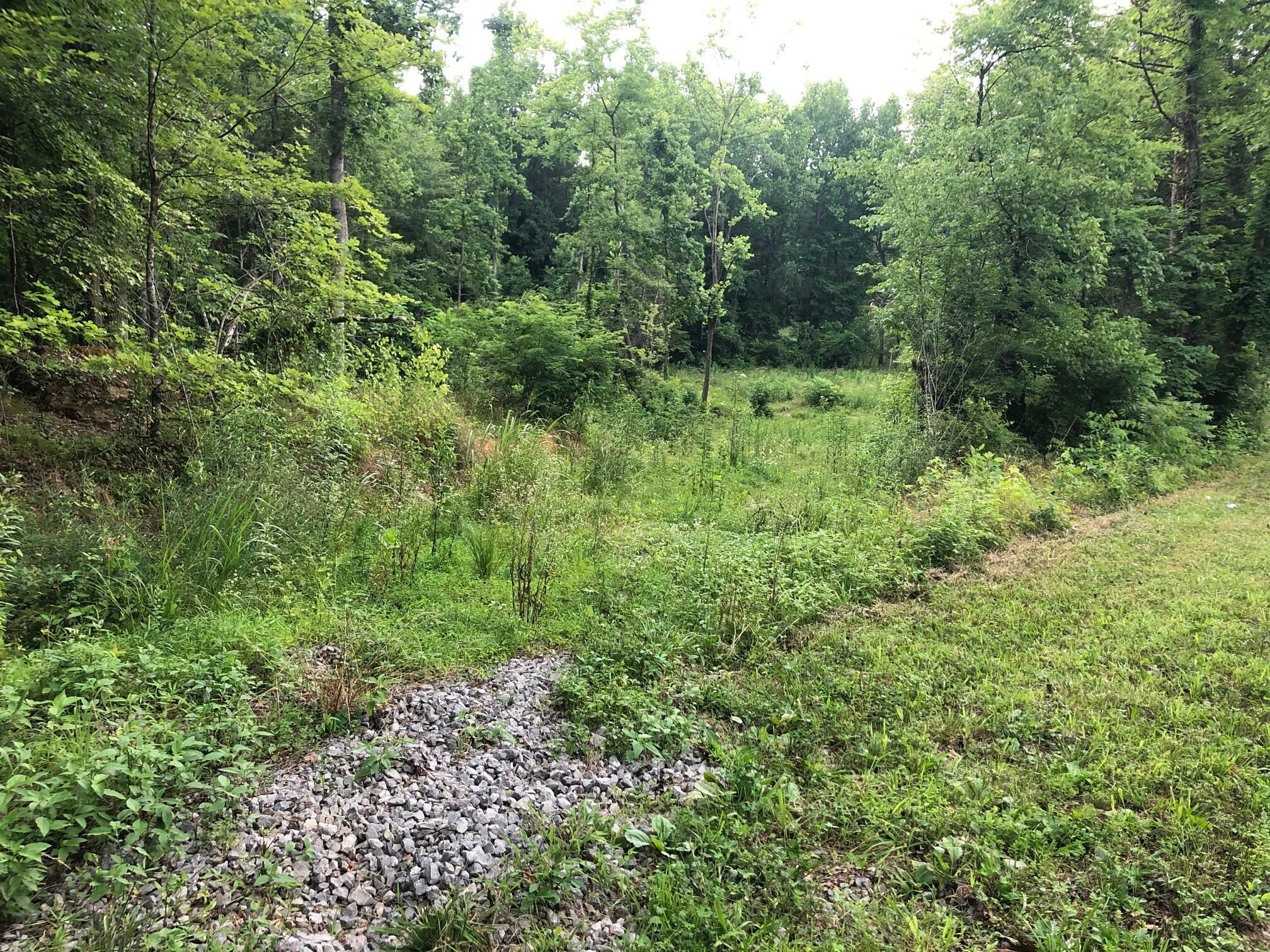 Property Photo:  Lot 2 Co Rd 675  TN 37303 