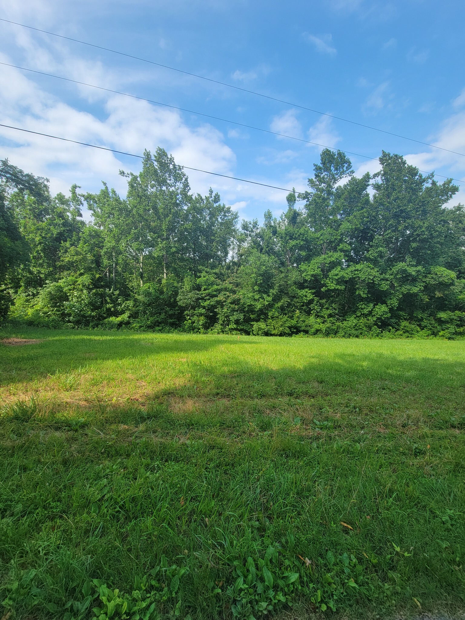 Property Photo:  0 Cole Ridge Road  TN 37018 