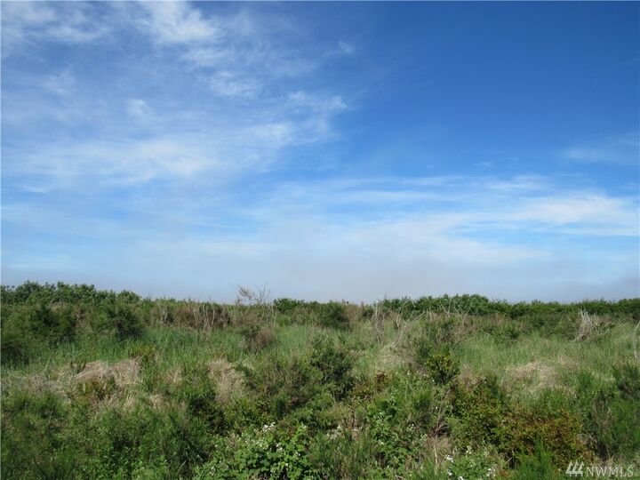 Property Photo: 68 Dunes Lane WA 98569