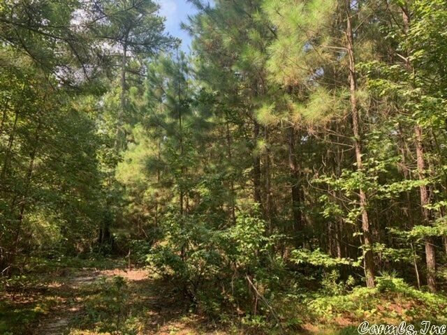 Property Photo: Lot 15 Oklahoma Inn Road AR 72015