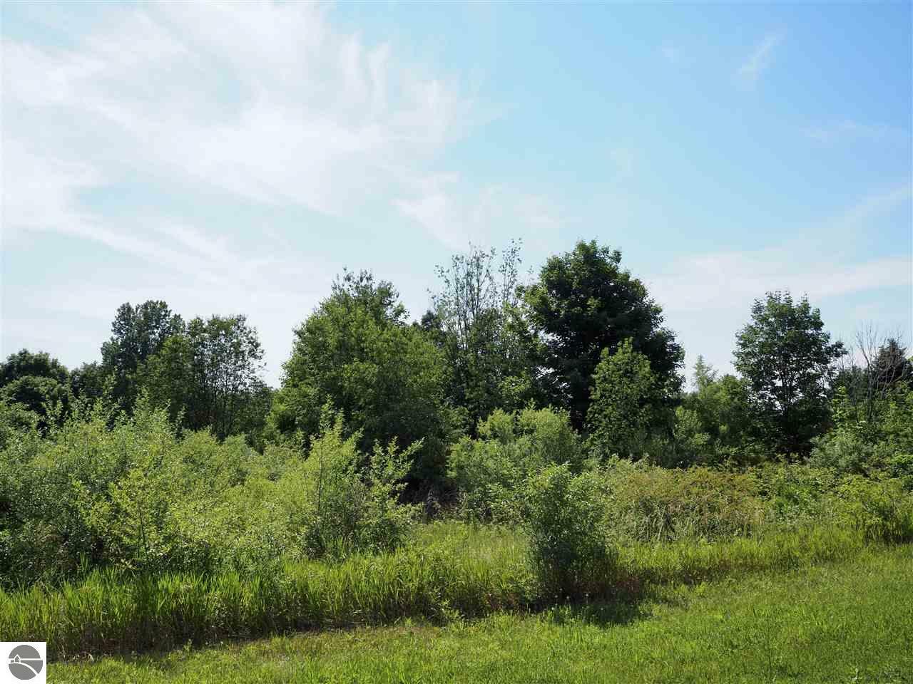Property Photo: 000 Fran Avenue Lot 34 MI 49635