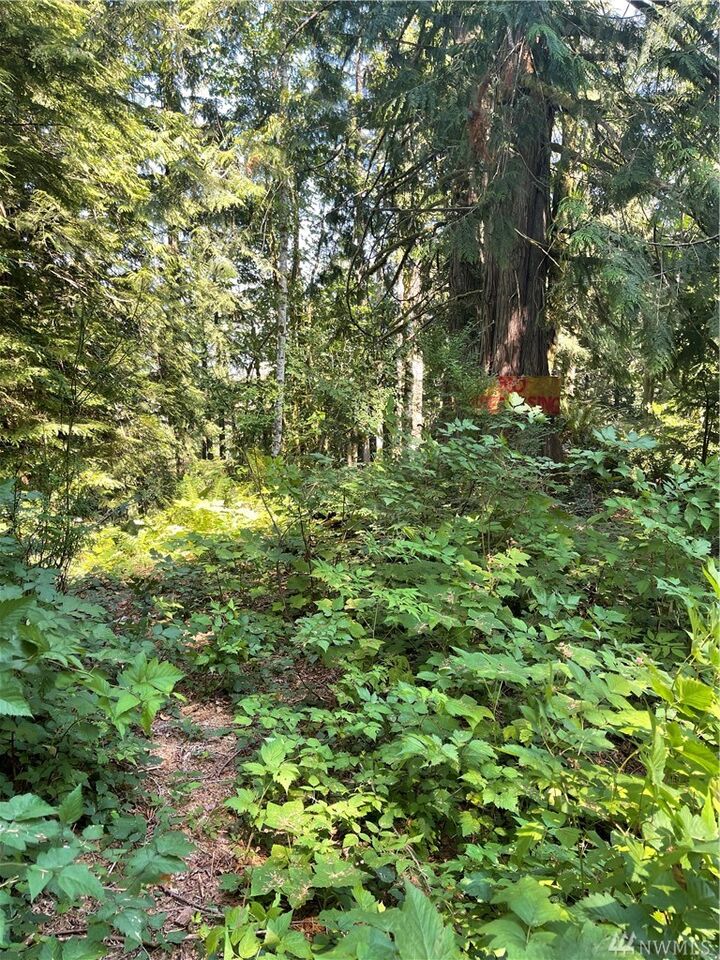 Property Photo: 503 Xx Mt Index Dr WA 98251