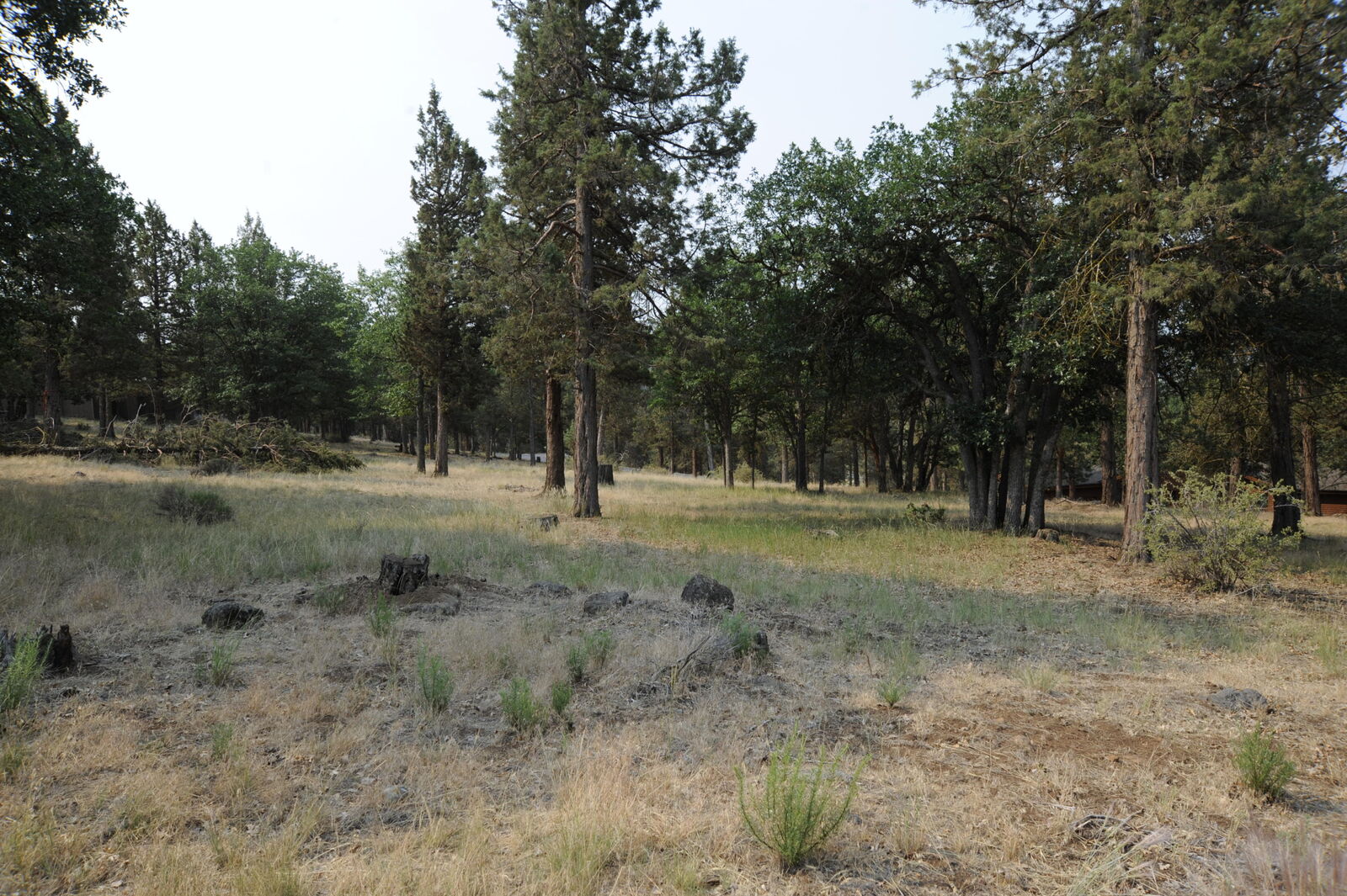 Property Photo:  Lot 241 Kestrel Road  OR 97601 