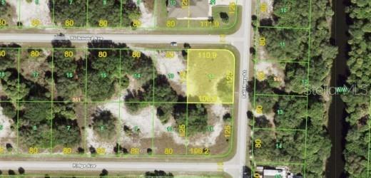 Property Photo:  17452 Iago Avenue  FL 33954 