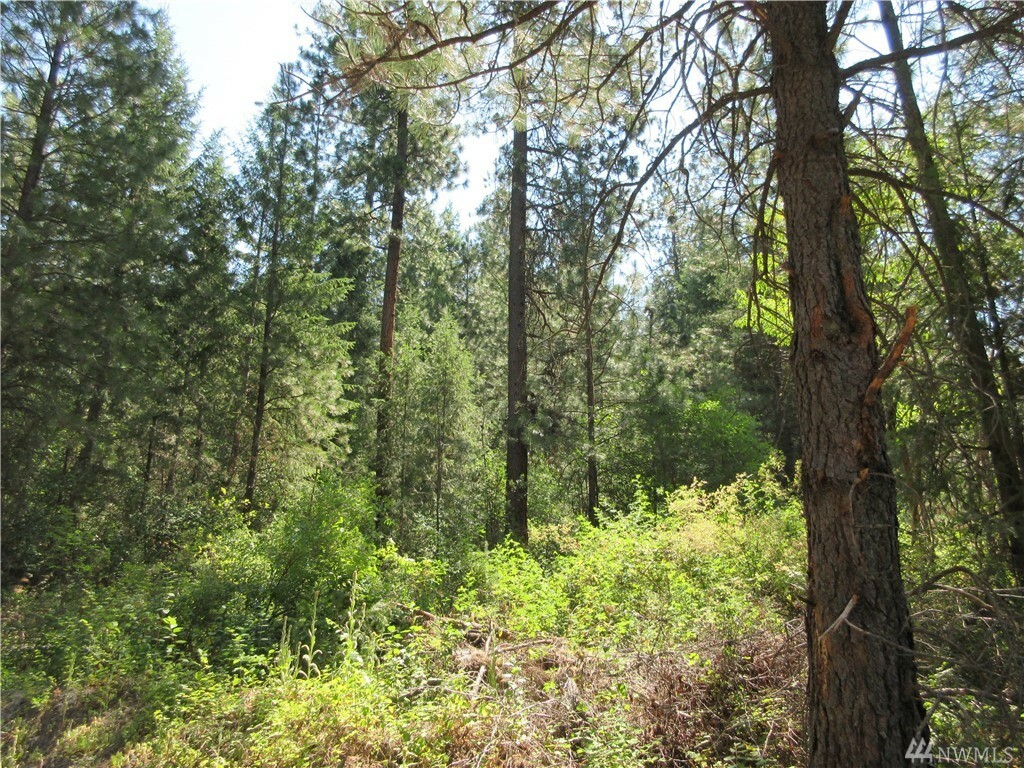Property Photo: Tbd E San Poil River Rd WA 99166
