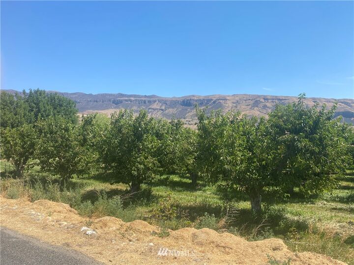 Property Photo: 0 Nna Douglas Street WA 98850