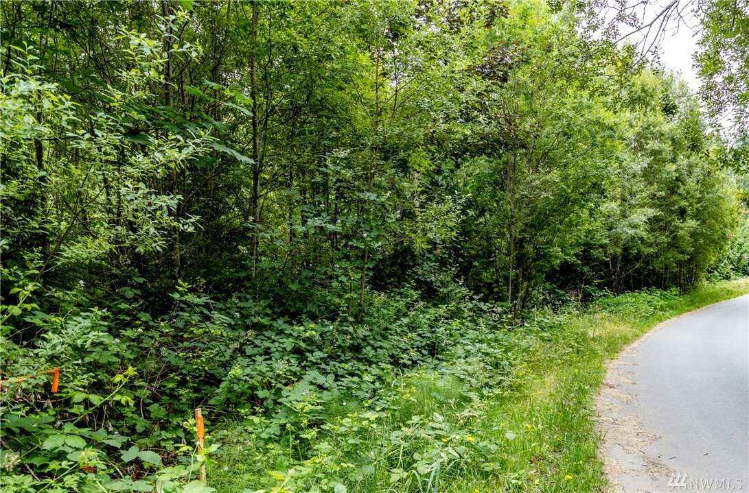 Property Photo:  0 NE Tani Creek Lot L1 Rd  WA 98110 