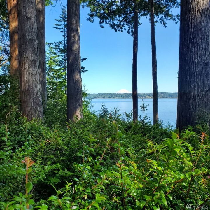 Property Photo:  474 E Chesapeake Dr  WA 98584 