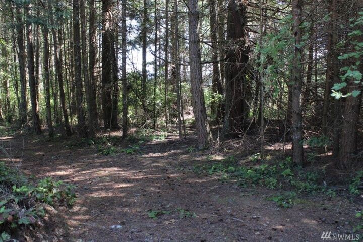 9999 Buchanan Dr  Port Angeles WA 98362 photo