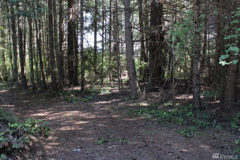 Property Photo: 9999 Buchanan Dr WA 98362