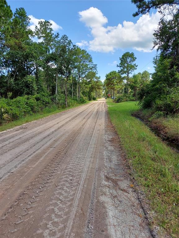 Property Photo: East Parkway FL 32724