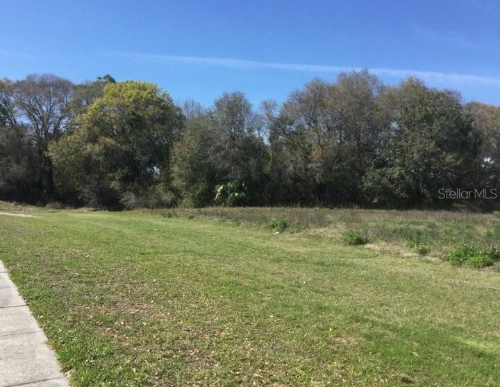 7721 Gunn Highway  Tampa FL 33625 photo