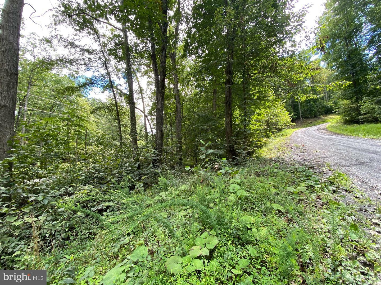 Property Photo:  Eagles Crag Road  VA 22630 