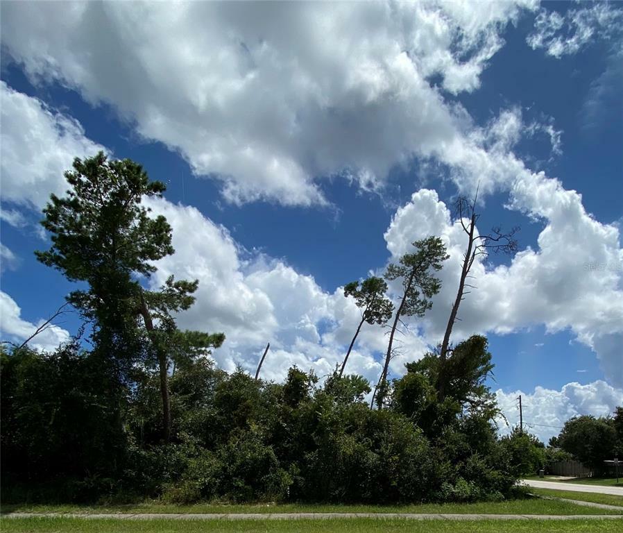 Property Photo:  2731 N Juliet Drive  FL 32738 