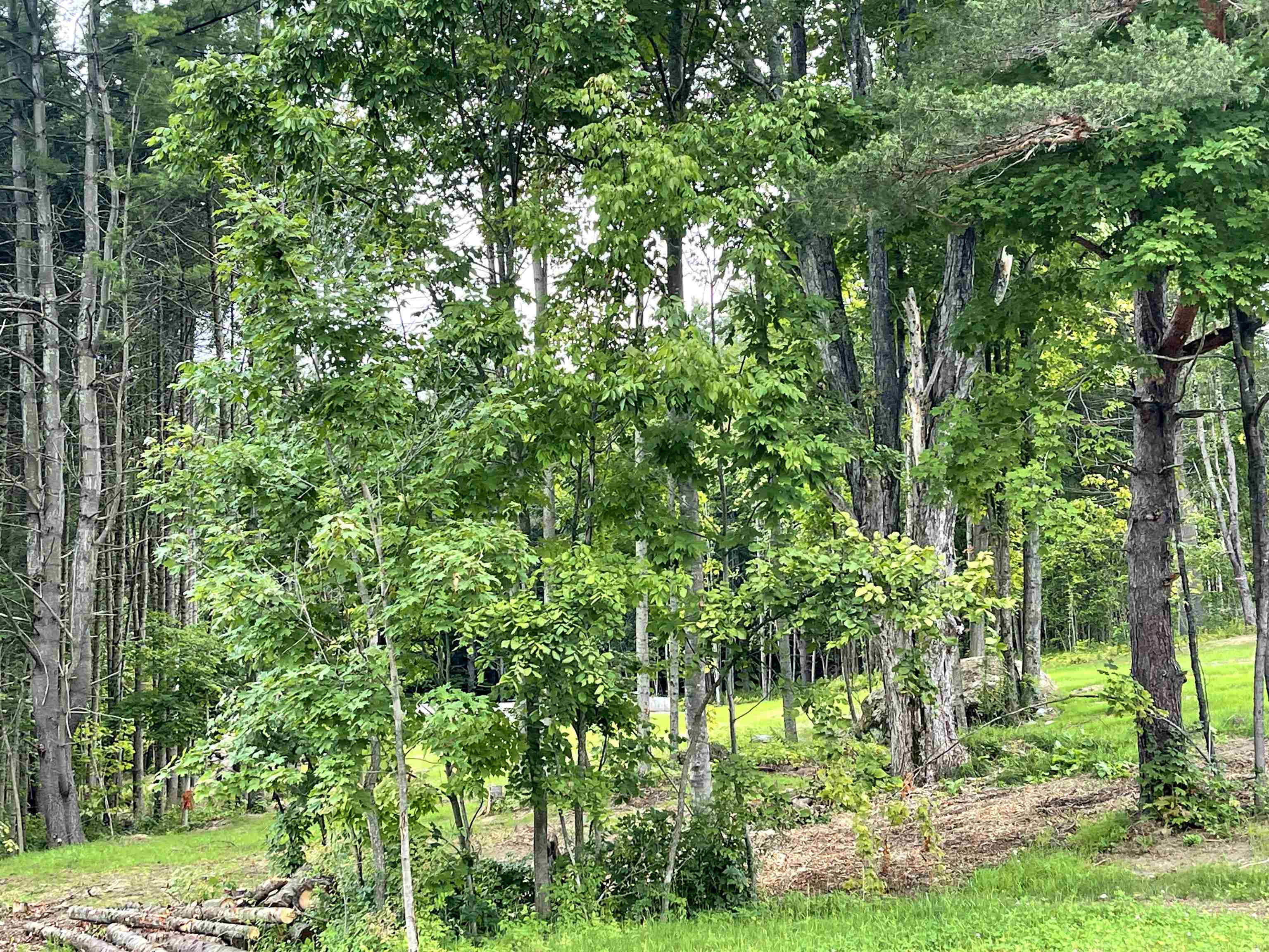Property Photo: 29 Blueberry Lane 4 VT 05465