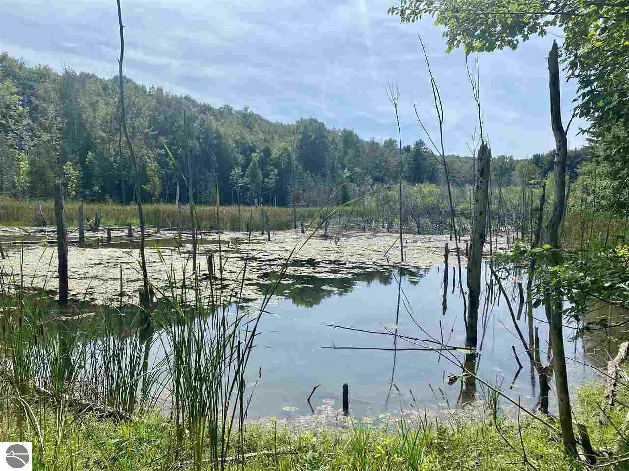 Property Photo: 000 Pilgrim Highway MI 49635
