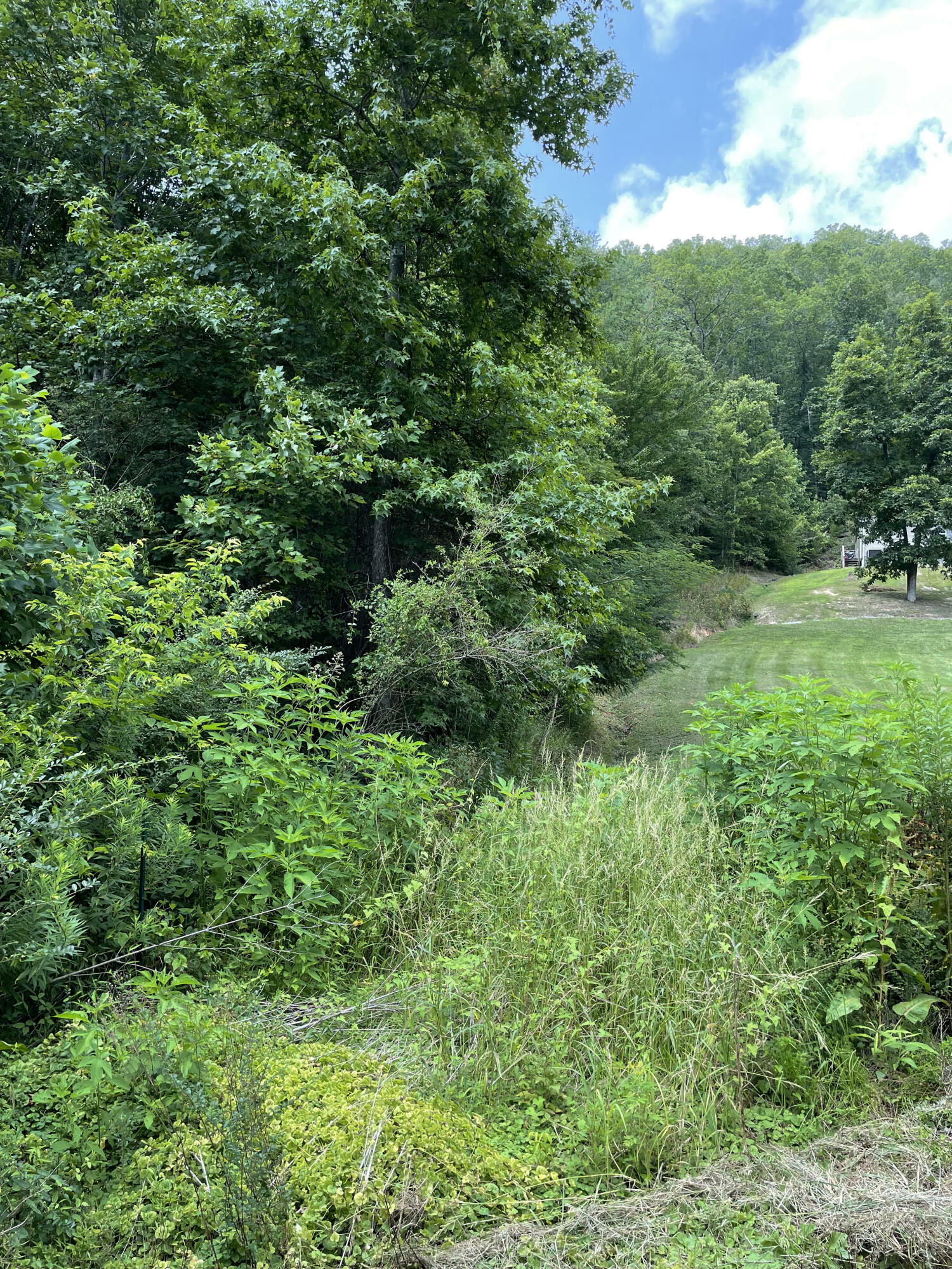 Property Photo:  Henry Town Rd  TN 37876 