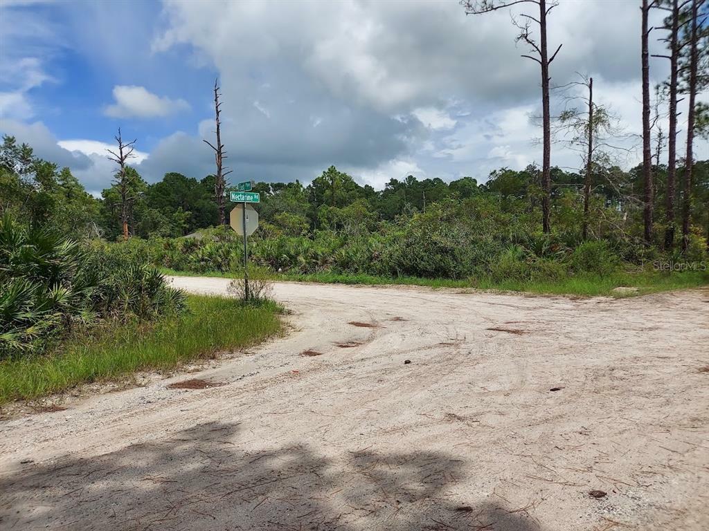 Property Photo: 00 East Parkway FL 32724