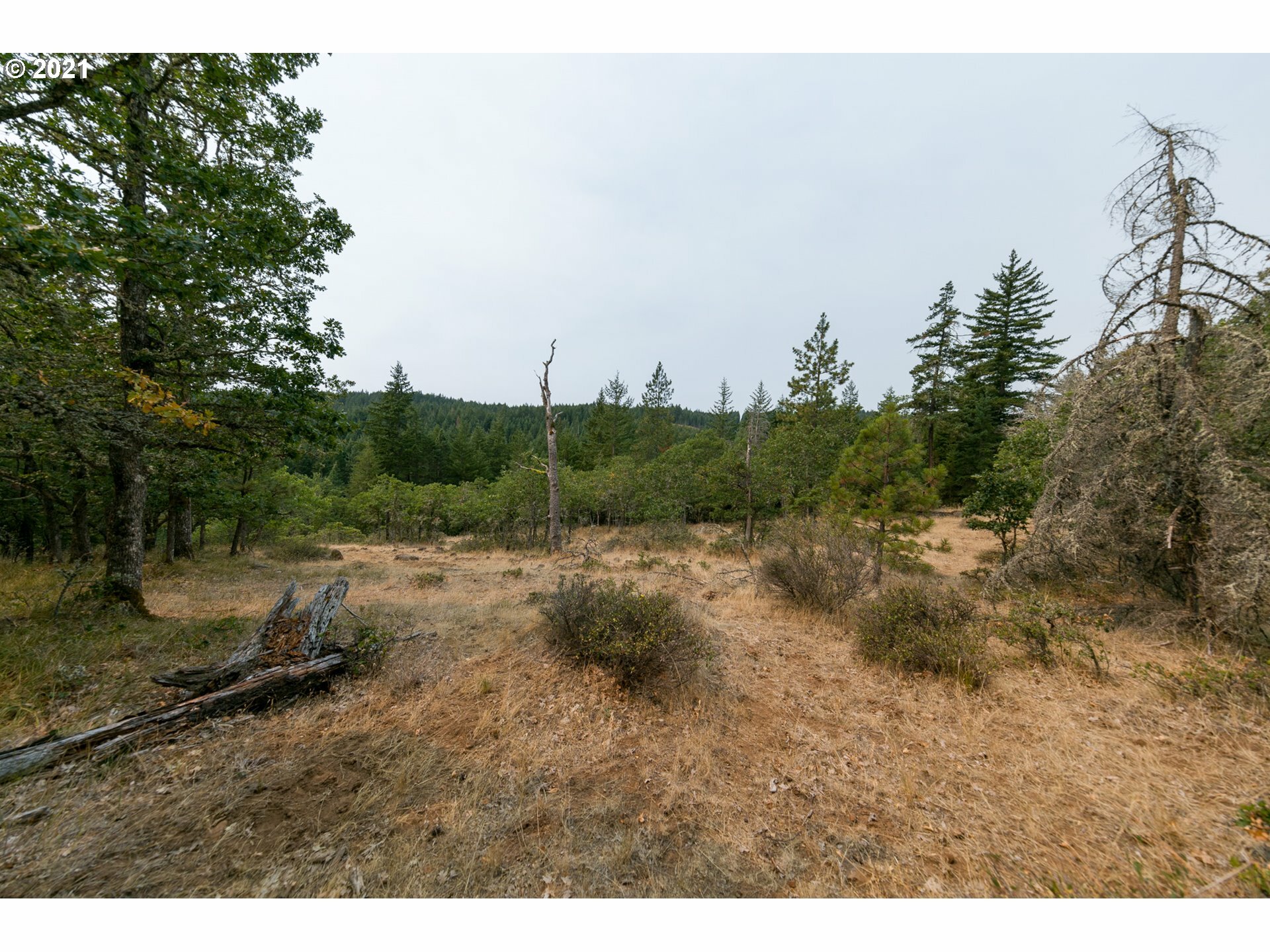 Property Photo:  Meadows Loop  WA 98635 